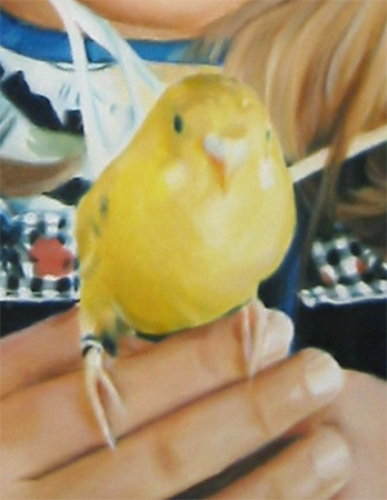 Yellow-bird
